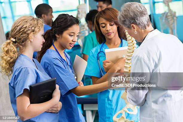 medical school professor using model to teach nursing students - lecturer teaching stock pictures, royalty-free photos & images