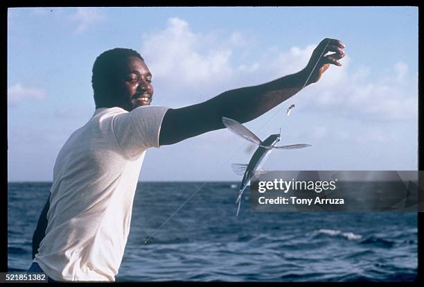 commercial fisherman with a hooked flying fish, barbados - fish barbados stock pictures, royalty-free photos & images