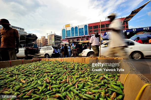 grashopper as a delicious snack - eating insects in uganda - kampala fotografías e imágenes de stock