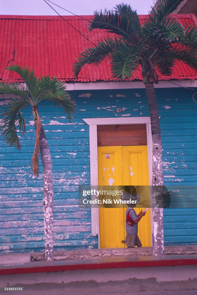 Colorful Building and Palm Trees