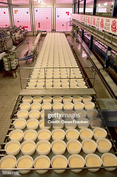 peppered gouda in molds - cheese production in netherlands stock pictures, royalty-free photos & images