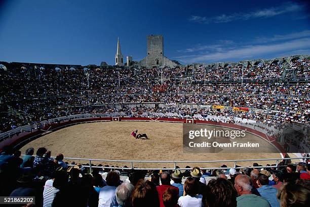 bullfight in provence arena - bullring stock pictures, royalty-free photos & images