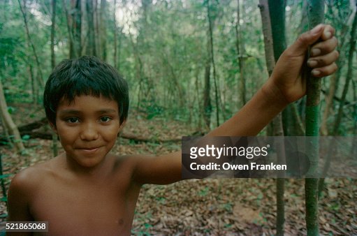 Boy In Brazilian Rainforest High-Res Stock Photo - Getty Images