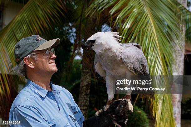 perry conway holding a harpy eagle - harpy eagle 個照片及圖片檔