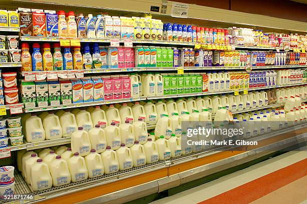 dairy products at the supermarket - mejeriavdelning bildbanksfoton och bilder