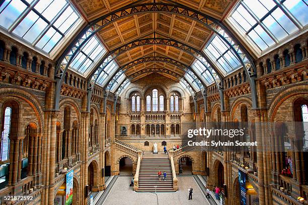 central hall of the natural history museum, london, england - natural history museum london stock pictures, royalty-free photos & images