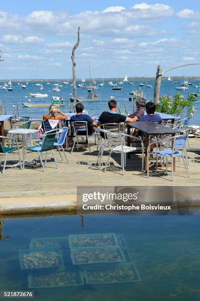 france, gironde, bassin d'arcachon, l'herbe harbour, oyster bar - arcachon stockfoto's en -beelden