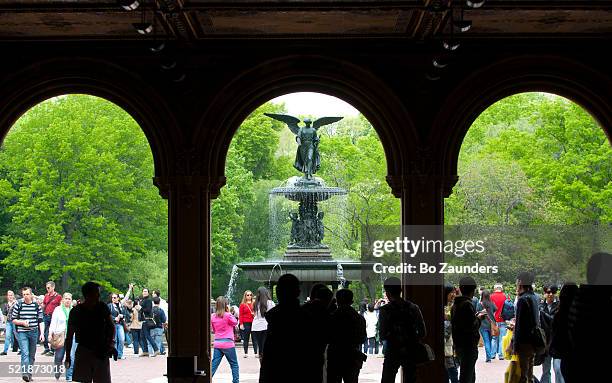 bethesda fountain - bo zaunders stock pictures, royalty-free photos & images