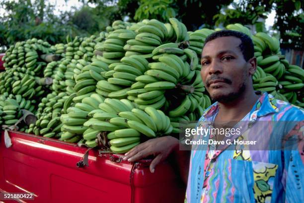 bananas going to market - antilles stock pictures, royalty-free photos & images