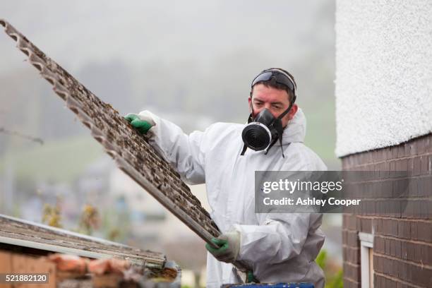man removing asbestos from a shed roof of a house in ambleside, cumbria - asbestos stock pictures, royalty-free photos & images