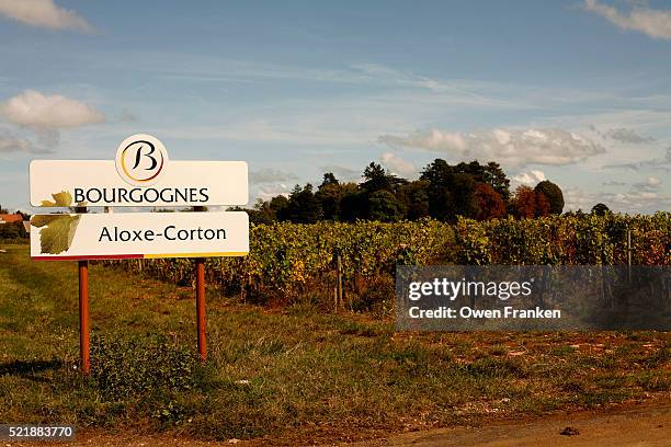 sign for town of aloxe-corton by a vineyard - ブルゴーニュ　harvest wine ストックフォトと画像