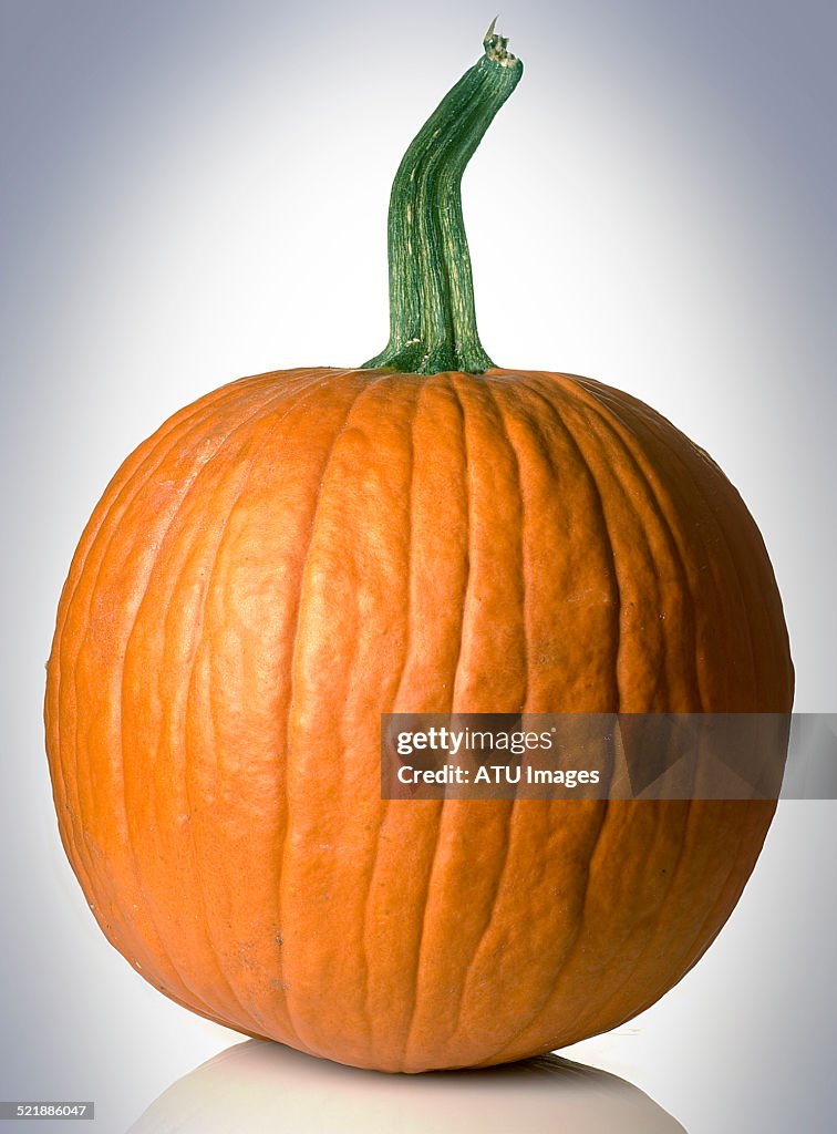 Pumpkin