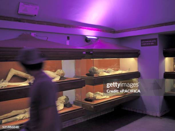mummies in museo de los momias in mexico - mummy museum stock pictures, royalty-free photos & images