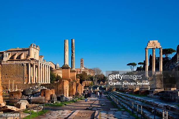 temple of antoninus and faustina in the roman forum - het forum van rome stockfoto's en -beelden