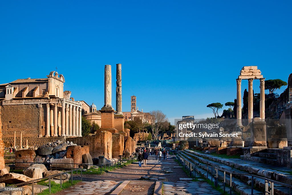 Temple of Antoninus and Faustina in the Roman Forum