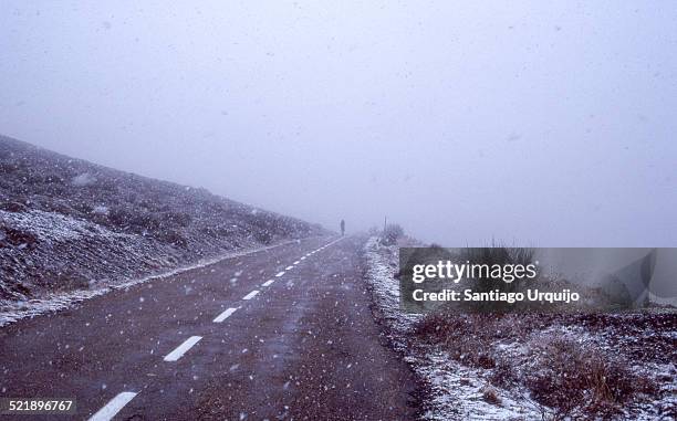 cyclist riding through a whiteout storm - correction fluid stock pictures, royalty-free photos & images