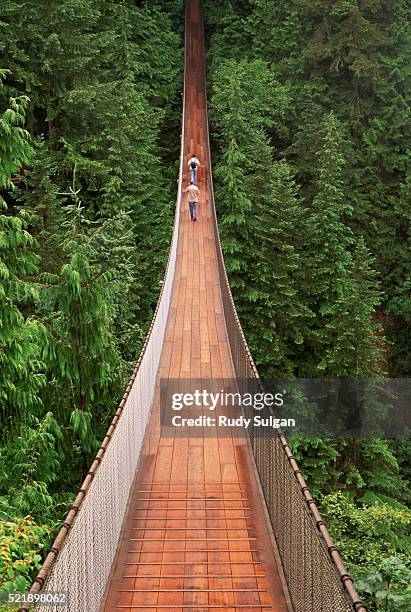 capilano suspension bridge - バンクーバー ストックフォトと画像