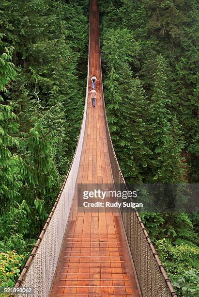 capilano suspension bridge - vancouver stock pictures, royalty-free photos & images