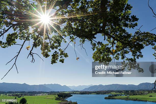 riegsee and bavarian alps - lake riegsee stock pictures, royalty-free photos & images