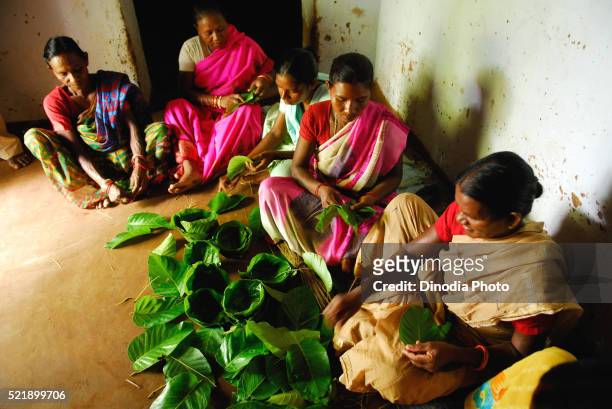 ho tribes women making bowls with leaves, chakradharpur, jharkhand, india - chakradharpur stock pictures, royalty-free photos & images
