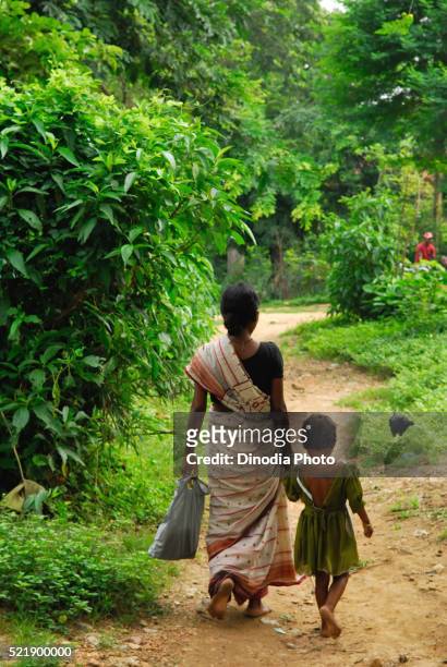 ho tribes mother and daughter walking, chakradharpur, jharkhand, india - chakradharpur stock pictures, royalty-free photos & images
