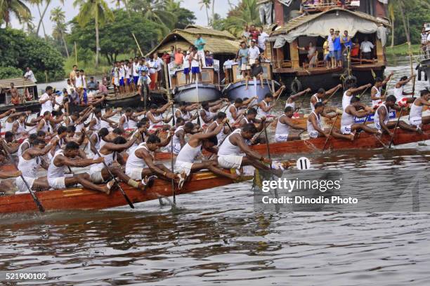 snake boats racing in punnamada lake at alleppey, kerala, india - kerala snake boat stock pictures, royalty-free photos & images