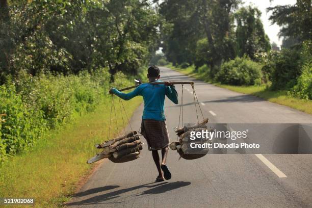 man carrying wood at sambalpur, orissa, india - odisha stock-fotos und bilder