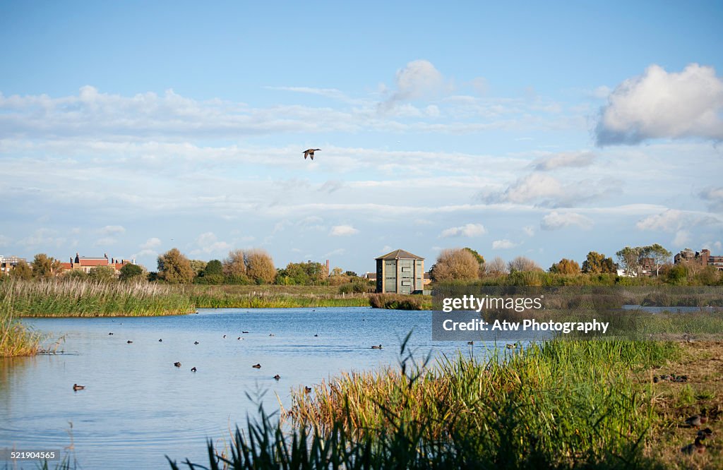 WWT London Wetland Centre
