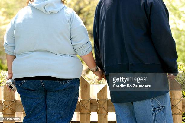 couple holding hands at the bronx zoo - gordo fotografías e imágenes de stock