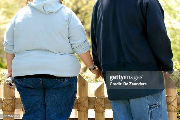 couple holding hands at the bronx zoo - overgewicht stockfoto's en -beelden