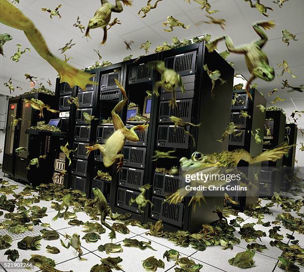 frogs overwhelming server room - computer mainframe stock pictures, royalty-free photos & images