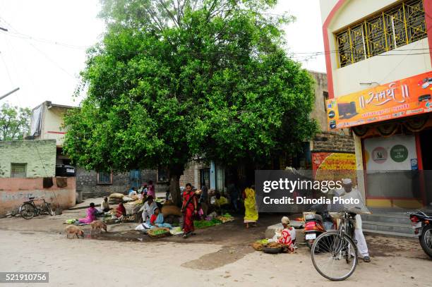 Akluj Riverside Akluj Photos and Premium High Res Pictures - Getty Images