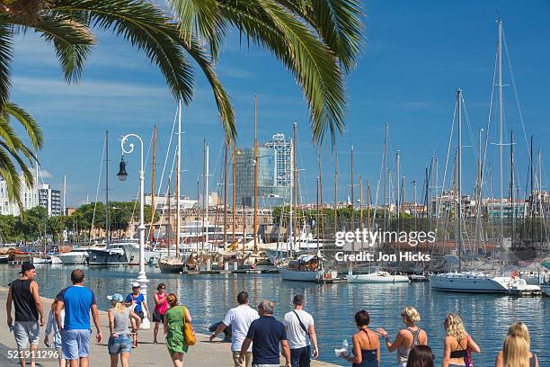port vell, barcelona, spain - port de barcelona stock pictures, royalty-free photos & images