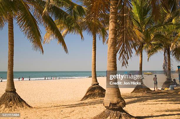 Sanyang Photos and Premium High Res Pictures Getty Images