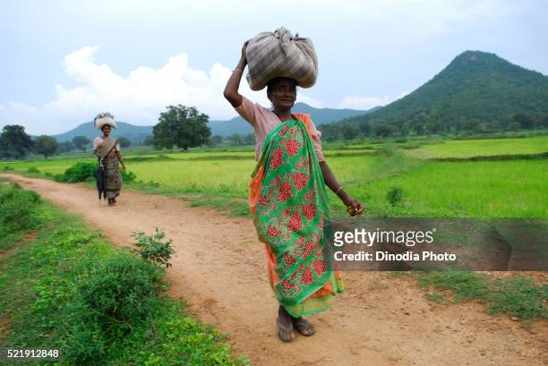 ho tribes woman with luggage, chakradharpur, jharkhand, india - chakradharpur stock pictures, royalty-free photos & images