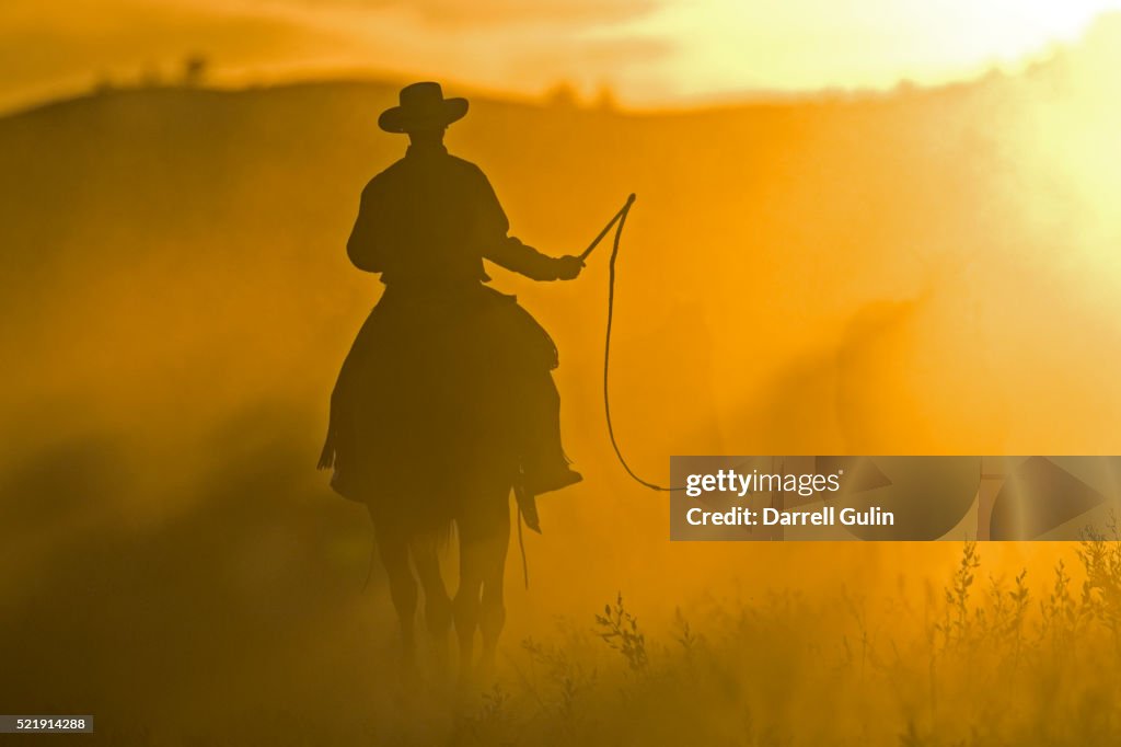 Silhouette of Cowboy at Sunset