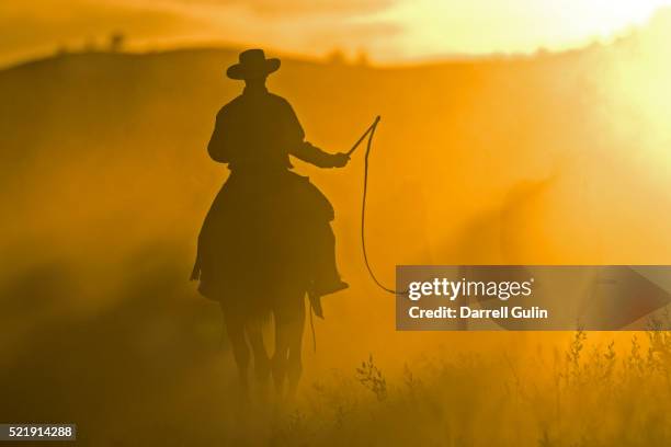 silhouette of cowboy at sunset - whip stock pictures, royalty-free photos & images