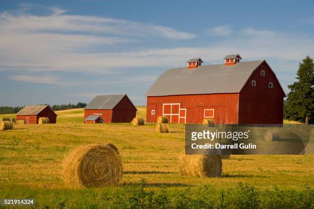 barns and hay bales in field - fattoria foto e immagini stock