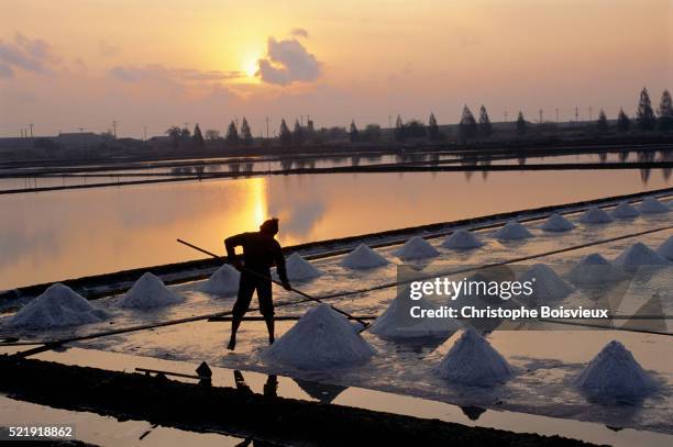 salt harvest in thailand - salt marsh stock pictures, royalty-free photos & images