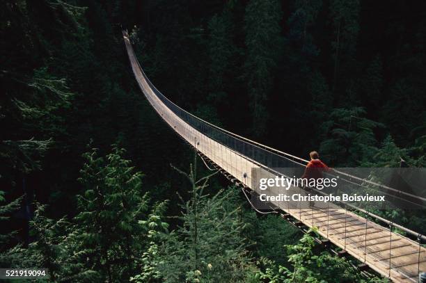 capilano suspension bridge - hängebrücke stock-fotos und bilder