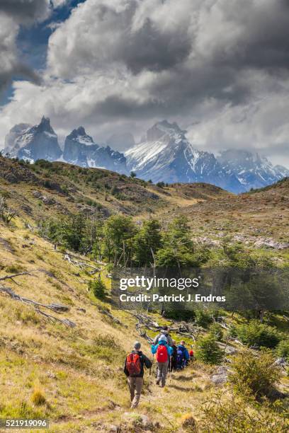 hiker in patagonia - patrick walker stock pictures, royalty-free photos & images