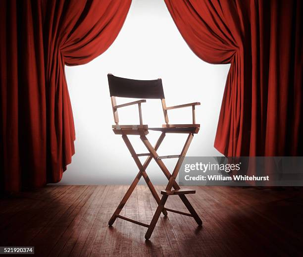 directors chair - directors chair stockfoto's en -beelden