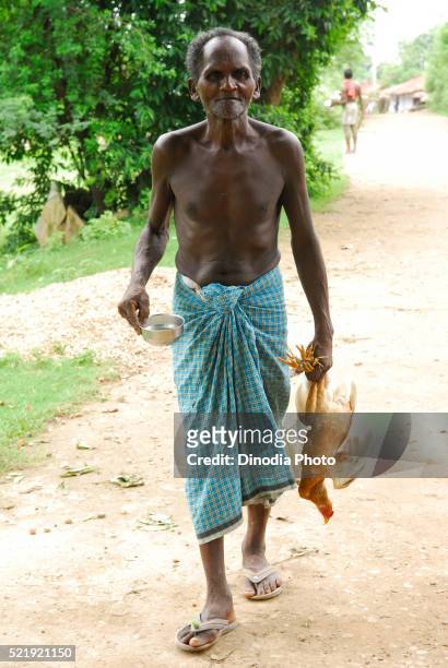 ho tribes old man with chicken, chakradharpur, jharkhand, india - chakradharpur stock pictures, royalty-free photos & images