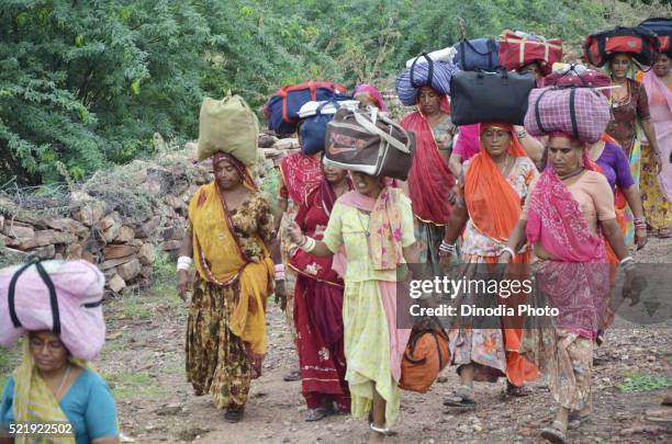 women with luggage moving on week long padyatra, jodhpur, rajasthan, india, asia - week 2012 stock pictures, royalty-free photos & images