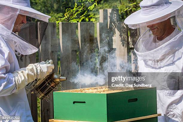 beekeepers with bee smoker - dag 2 stock pictures, royalty-free photos & images