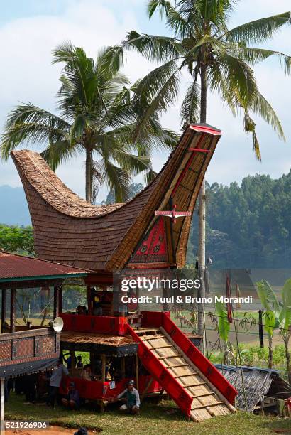 toraja funeral ceremony at tana toraja, sulawesi - toraja stock pictures, royalty-free photos & images