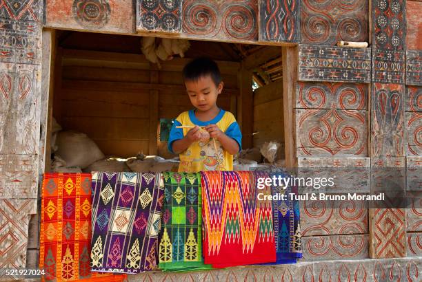 traditional house on tana toraja, sulaweisi - toraja stock-fotos und bilder