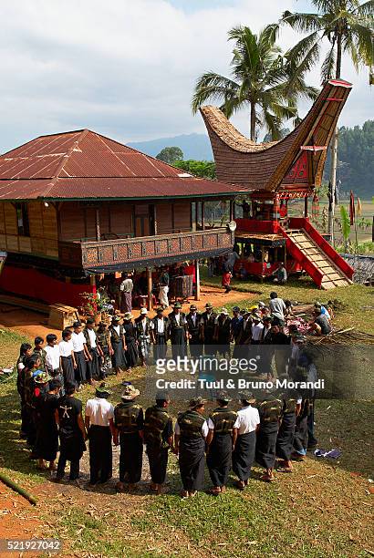 toraja funeral ceremony at tana toraja, sulawesi - ceremony bildbanksfoton och bilder