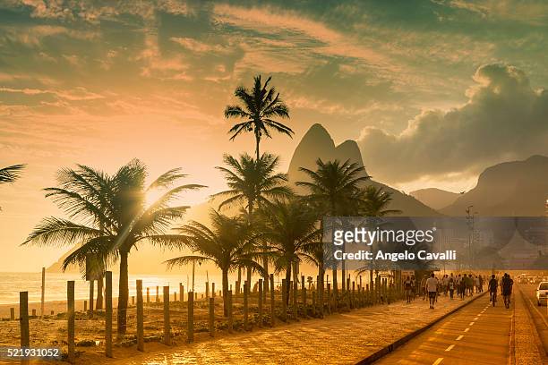 palms on ipanema beach at sunset, rio de janeiro, brazil - rio de janeiro photos et images de collection