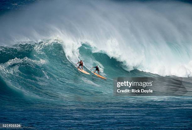 surfers in waimea bay - waimea bay hawaii stock pictures, royalty-free photos & images